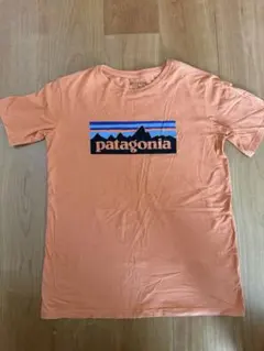 パタゴニア　Tシャツのサムネイル