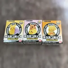ポケモンキッズ30周年スペシャル vol.2編ピカチュウといっしょ