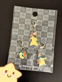 ポケモン 全国ずかん メタルチャーム ヒノアラシ マグマラシ バクフーンのサムネイル