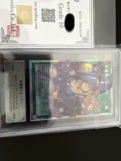 ars10鑑定書付き】 黒魔導のカーテン オーバーフレーム プリシク