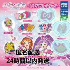 アイカツ プリパラ ピンズコレクション