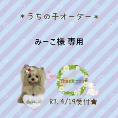 ＊羊毛フェルト＊うちの子オーダー　みーこ様