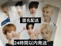 straykids スキズ ストレイキッズ クリアファイル ファミマ セット