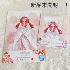 一番くじ 五等分の花嫁 中野五月 L賞 J賞 イラストボード フレームスタンド