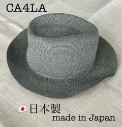 Item thumbnail for item a0e6118e-5e21-498a-9968-bdafd0e3cd95