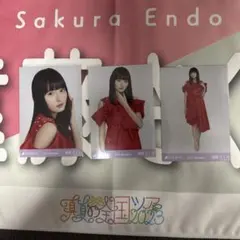 乃木坂46 遠藤さくら 2020 Lucky Bag 生写真 3種 - メルカリ