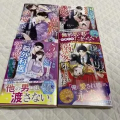 ベリーズ文庫4冊セット　26年３月発売