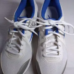 MIZUNO MAXIMIZER 19 ホワイト ブルー 26.0cmのサムネイル