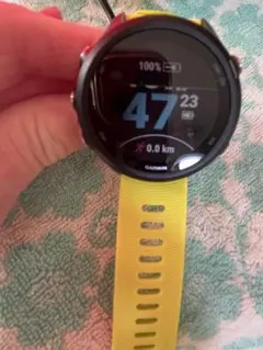 k*i様 GARMIN 245のサムネイル