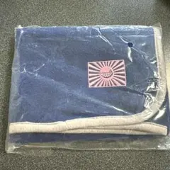 【即購入⭕️】GReeeeN gre4nboyz フリースミニブランケット