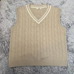 ニットベスト 厚め 秋 ベージュ