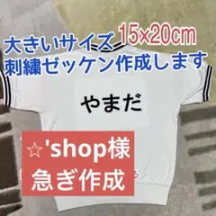 Item thumbnail for item cc8fe083-180a-4530-8a72-ece7813921d3