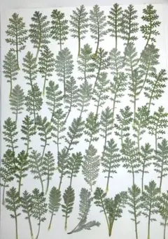 M&様 リクエスト 4点 まとめ商品