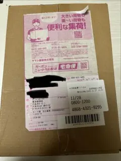 シュリンク付き ポケモンカード MEGA ドリーム ex　1BOX