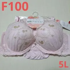 f100ブラジャー