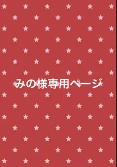専用ページ