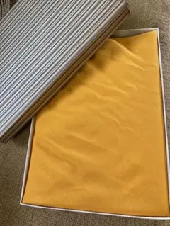 Item thumbnail for item 81fafcfa-771c-4c87-86d0-9370a52c448f