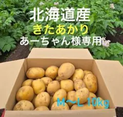 あーちゃん様専用 北海道産 きたあかり（M〜Lサイズ）10kg