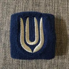 UNISON SQUARE GARDEN リストバンド 新品未使用 unison square gardenリストバンド｜Yahoo!フリマ（旧PayPayフリマ）