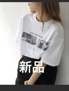 新品　ハークローゼットWEB限定フォトプリントロゴTシャツ　綿100% M