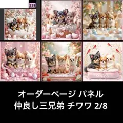オーダーページ パネル 仲良し三兄弟 チワワ 2/8