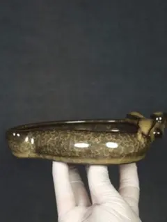 清時代 雍正 珐琅彩 龍文 皿 中国古美術 骨董品 時代物 旧家蔵出し