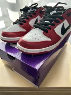 Nike SB Dunk Low Pro Chicago 27cm