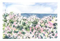 水彩画 風景画 花畑と海 つつじ