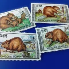 9720 外国切手 モンゴル 1989年 野生動物保護 ビーバー 4V