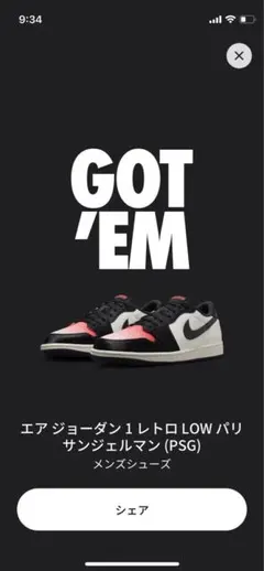 Nike Air Jordan 1 Retro Low PSG エアジョーダン1