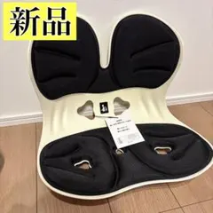 【新品】姿勢矯正椅子 カーブルチェア 骨盤サポート 腰痛対策 猫背改善 ブラック