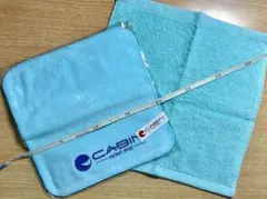 Item thumbnail for item 17167540-ee96-4d7d-9e51-8c884b9cfff2