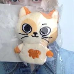 BOYNEXTDOOR ボネクド プネクド CATBBI ケッピ ぬいぐるみ - メルカリ