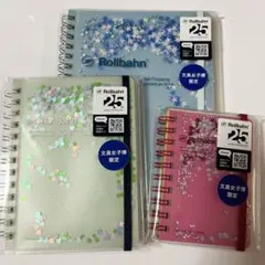 【匿名配送】ロルバーン グリッター 文具女子博限定含む 4色セット ロルバーン L グリッター 文具女子博限定 4点セット ノート ポケット