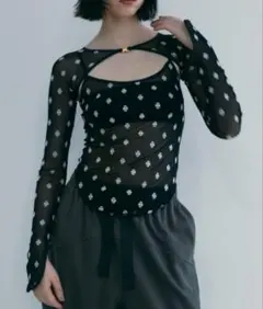 SORIN❤️SWAN LAKE Two-piece Top