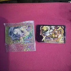 ポケモンフレンダ　スーパートレジャー　タケルライコ　テラスタル