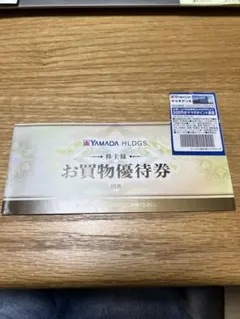 ヤマダ電機 株主優待券 5000円分(500円×10枚)