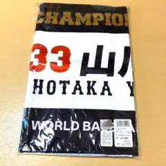 Item thumbnail for item b14dcc85-e3c0-4c22-b5d8-aeb79db41a7d