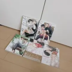 櫻井ナナコさん４冊セット