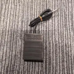 Item thumbnail for item 26b12549-325c-4df0-bec4-b873b516c5b2