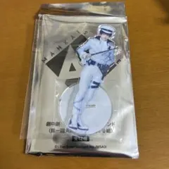 エーステ アクスタ ラスプラ 紬