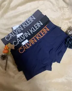 CALVIN KLEIN ボクサーパンツ 3枚セット Mサイズ