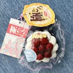 新品 極とろスクイーズ チョコタルト
