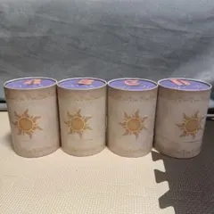 ディズニー結婚式