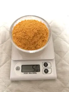 スクイーズ サクサク フェイクパン粉 55g