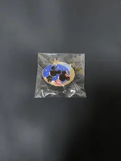 ピンバッジ　ディズニー