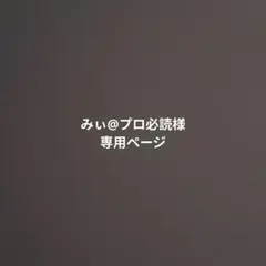 みい@プロ必読様専用ページ