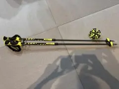 LEKI スキー用ストック VENOM VARIO