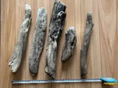 流木 5本セット DIY素材