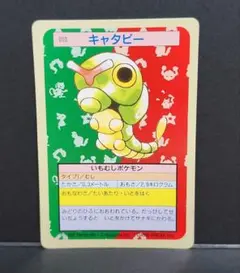 ポケモンカード トップサン キャタピー 裏緑